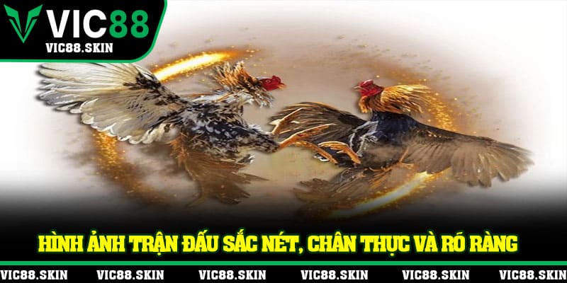Hình ảnh trận đấu sắc nét, chân thực và rõ ràng