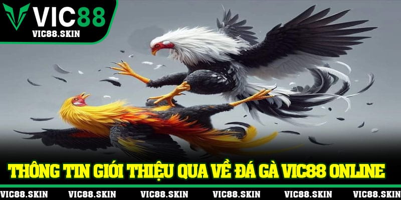 Thông tin giới thiệu qua về đá gà Vic88 online